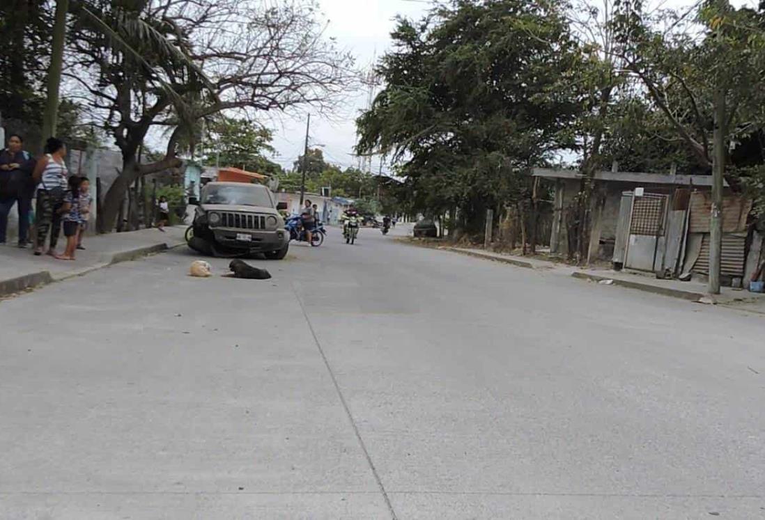 ¡Por un perro! Mujeres derrapan en su motocicleta por evadir un animal en Tierra Blanca