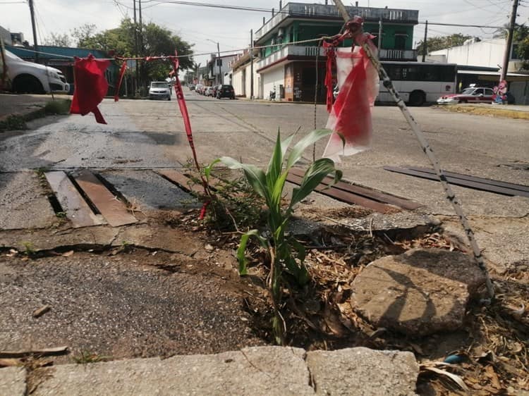 ¡Hasta con cubetas!; Alertan por calles en mal estado