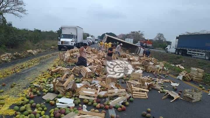 Vuelca torton con más de 20 toneladas de mango en Cotaxtla