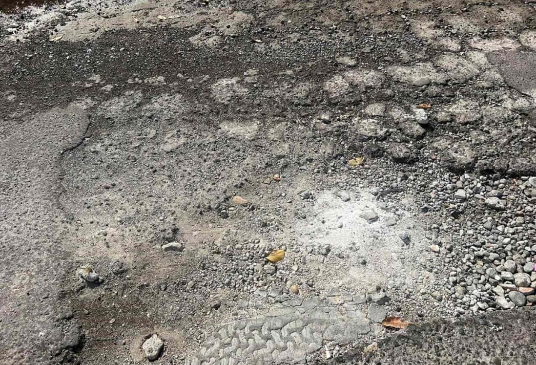 Sufren vecinos de colonia Miguel Alemán de Veracruz por calle llena de baches