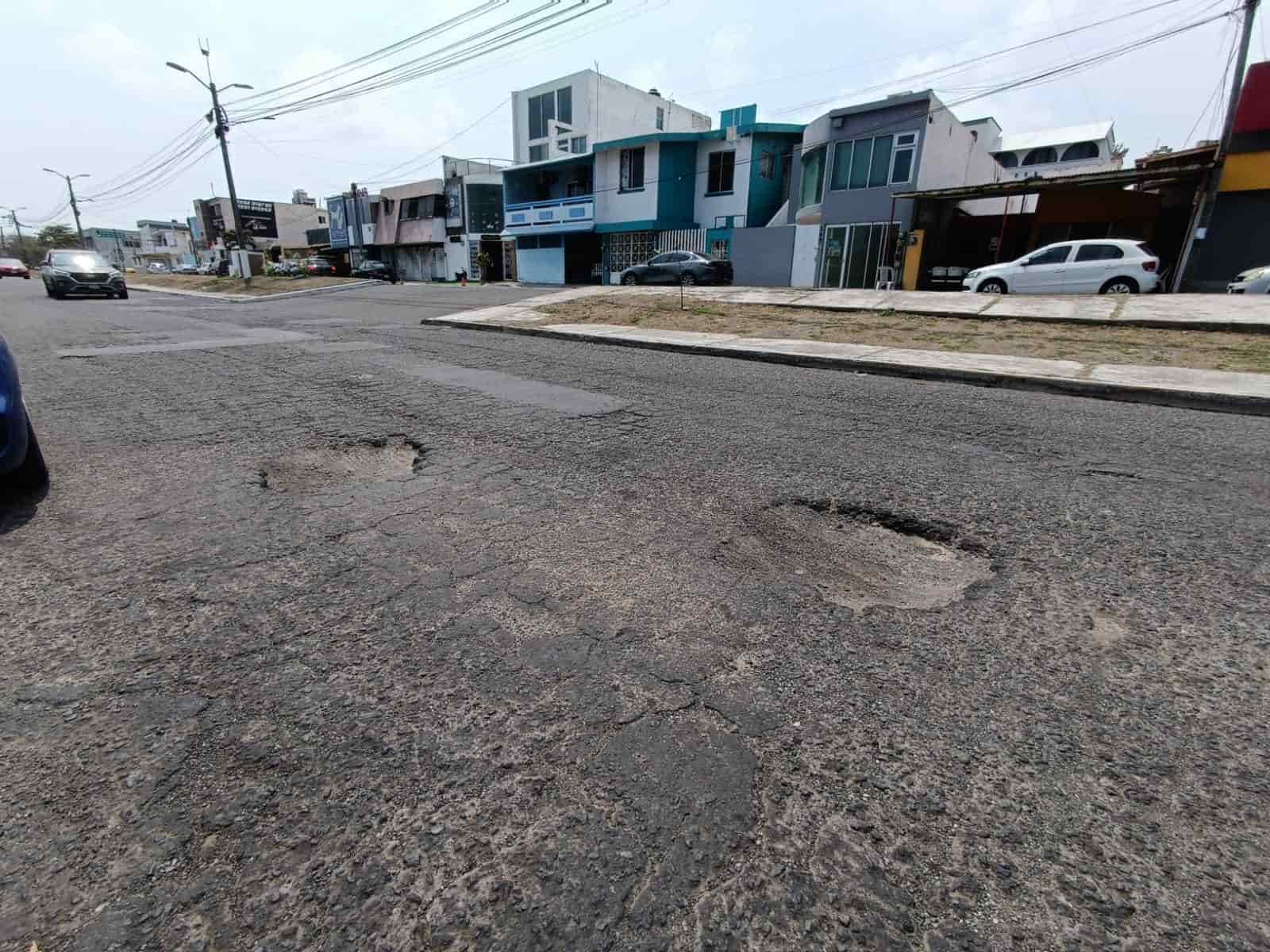 Pésimas condiciones de avenida en Jardines del Virginia