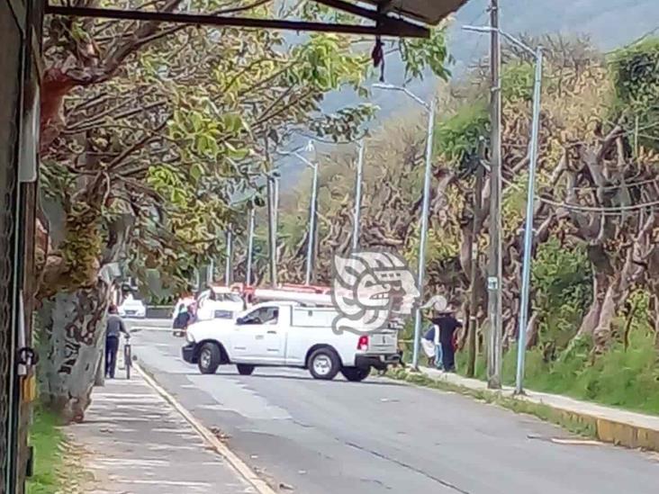 Incendio de pastizal en Río Blanco consume 15 hectáreas