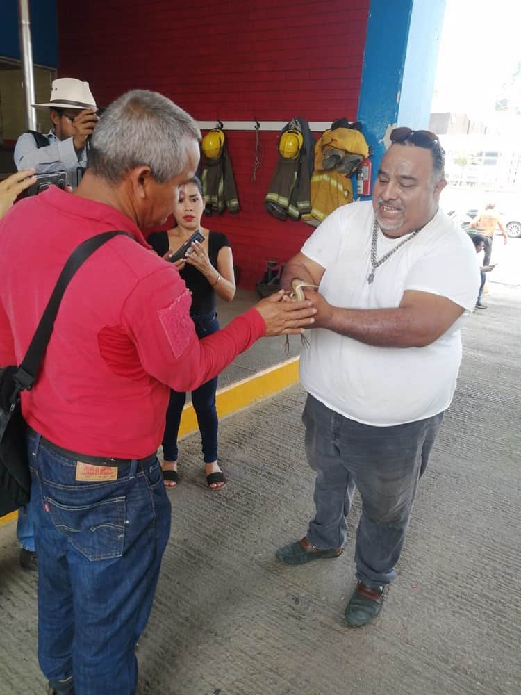 Entregan cría de garza a PC; se refugió del calor en restaurante de Coatzacoalcos (+Video)