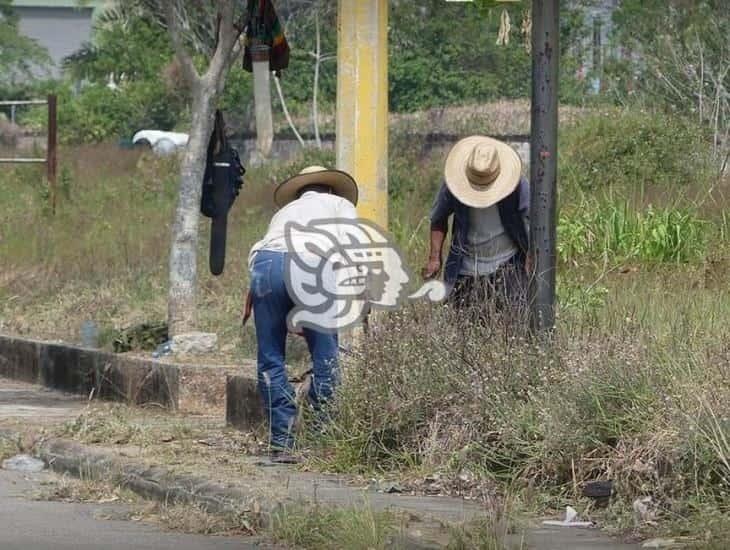 Realizan trabajos de limpieza en banquetas y orillas de calles