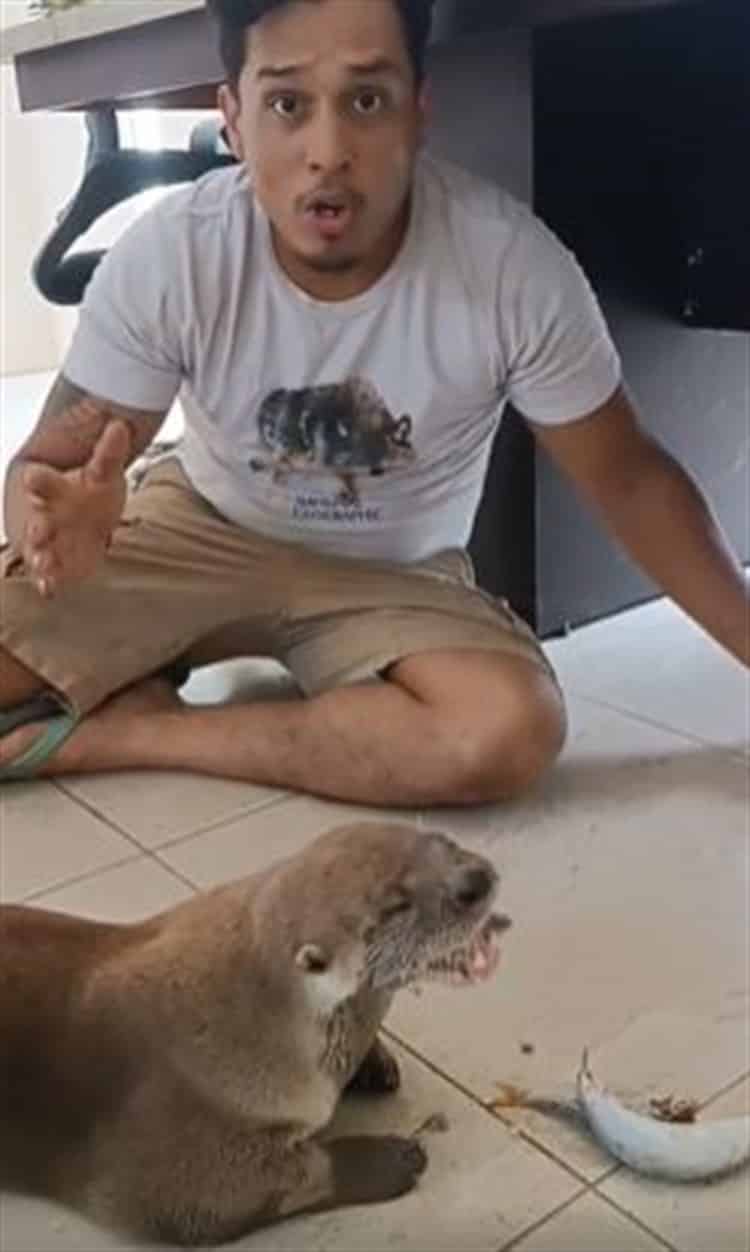 Golpean a “Max”, la nutria que ahora es atractivo turístico en Mandinga (+Video)