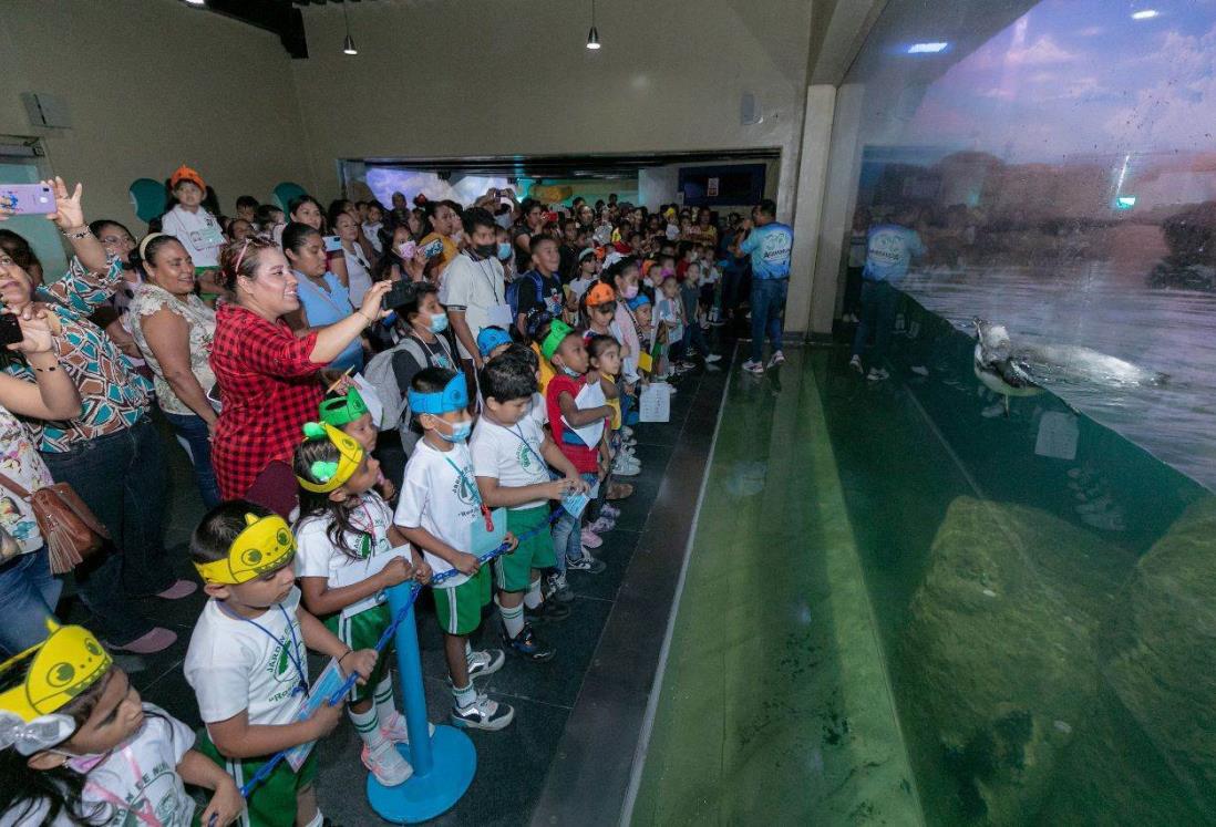 7 mil 500 personas disfrutaron del martes gratuito del Aquarium de Veracruz