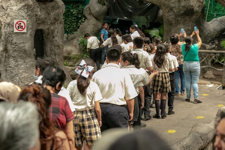 7 mil 500 personas disfrutaron del martes gratuito del Aquarium de Veracruz