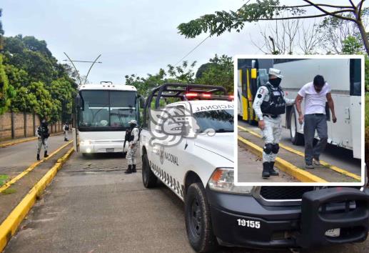 Aseguran tres autobuses con más de 120 migrantes en el sur de Veracruz (+Video)
