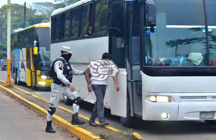 Frenan a ‘polleros’; asegura GN 3 autobuses con migrantes en el sur (+Video)