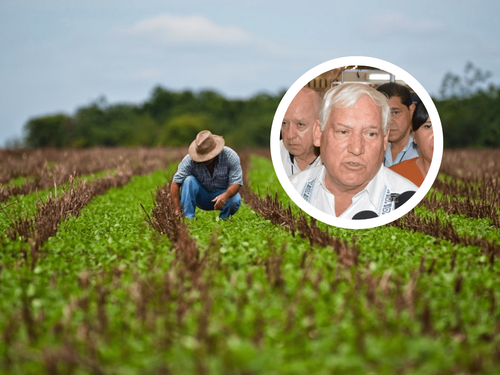 Agricultura se debe adaptar para enfrentar el cambio climático: SADER