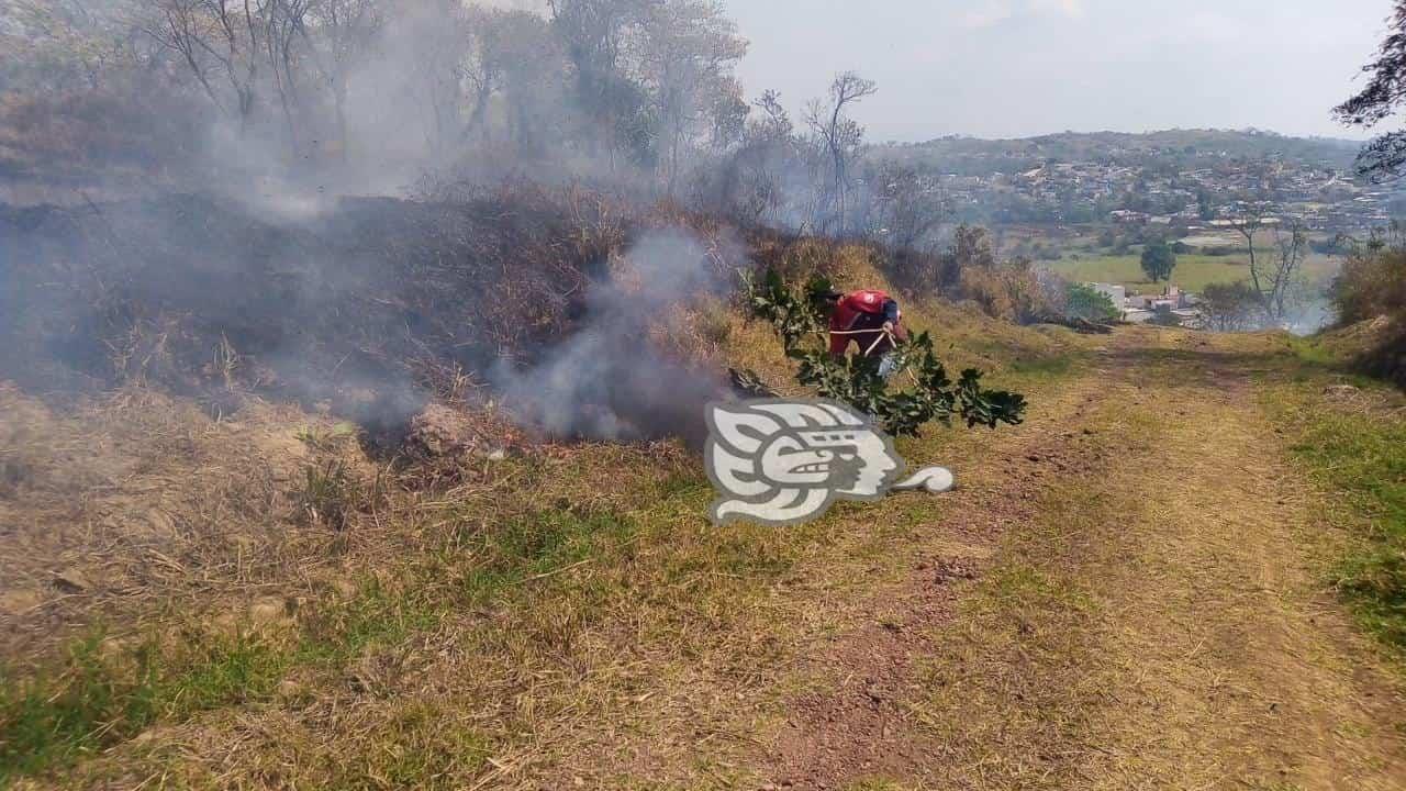 Siniestros superan a Bomberos; hasta 4 incendios diarios de pastizales en Xalapa