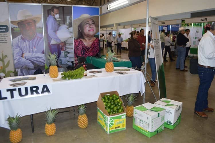 Buscará gobierno estatal impulsar la producción de fertilizantes en Veracruz (+Video)