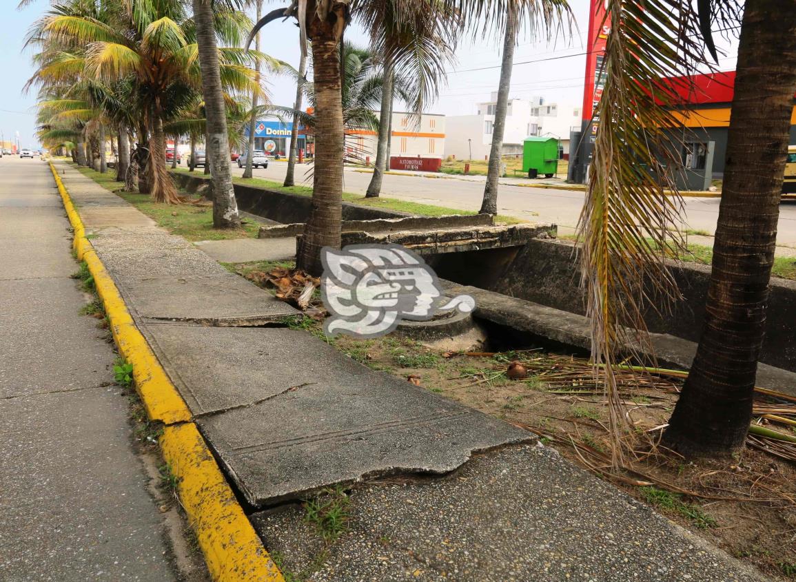 ¡Cuidado! Peligrosos socavones en la avenida Las Palmas ponen en riesgo a los peatones