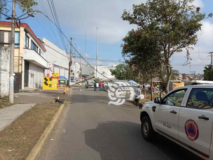 Tren jala cables y derriba señal de tránsito en zona de Plaza Crystal, en Xalapa