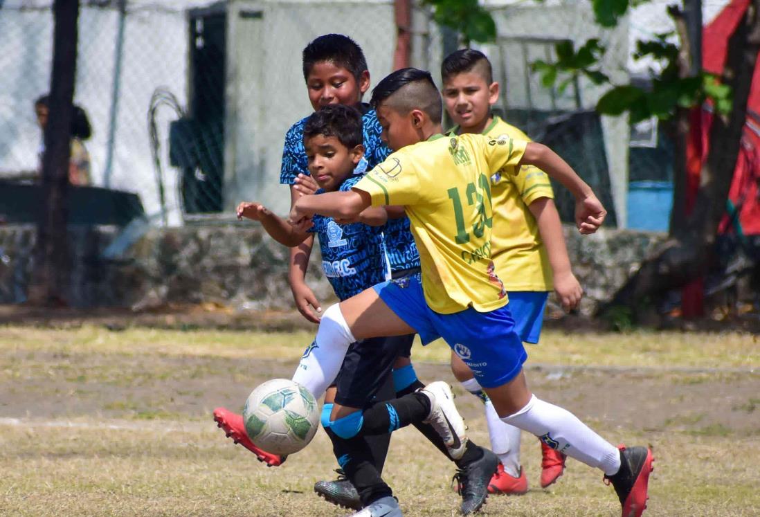 Comienza J-15 de la Liga Municipal