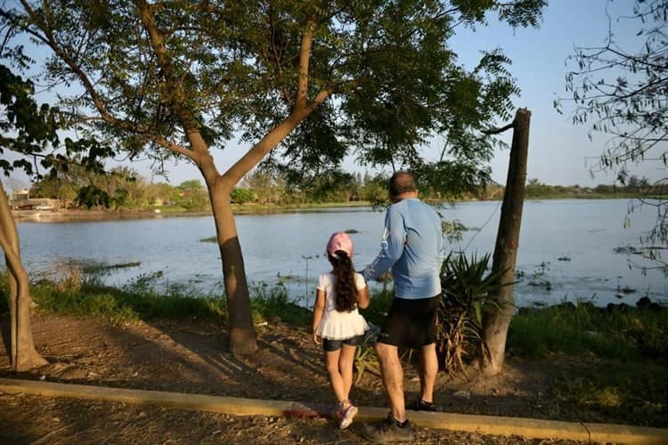 Regresa fauna silvestre con el rescate de la Laguna Lagartos en Veracruz