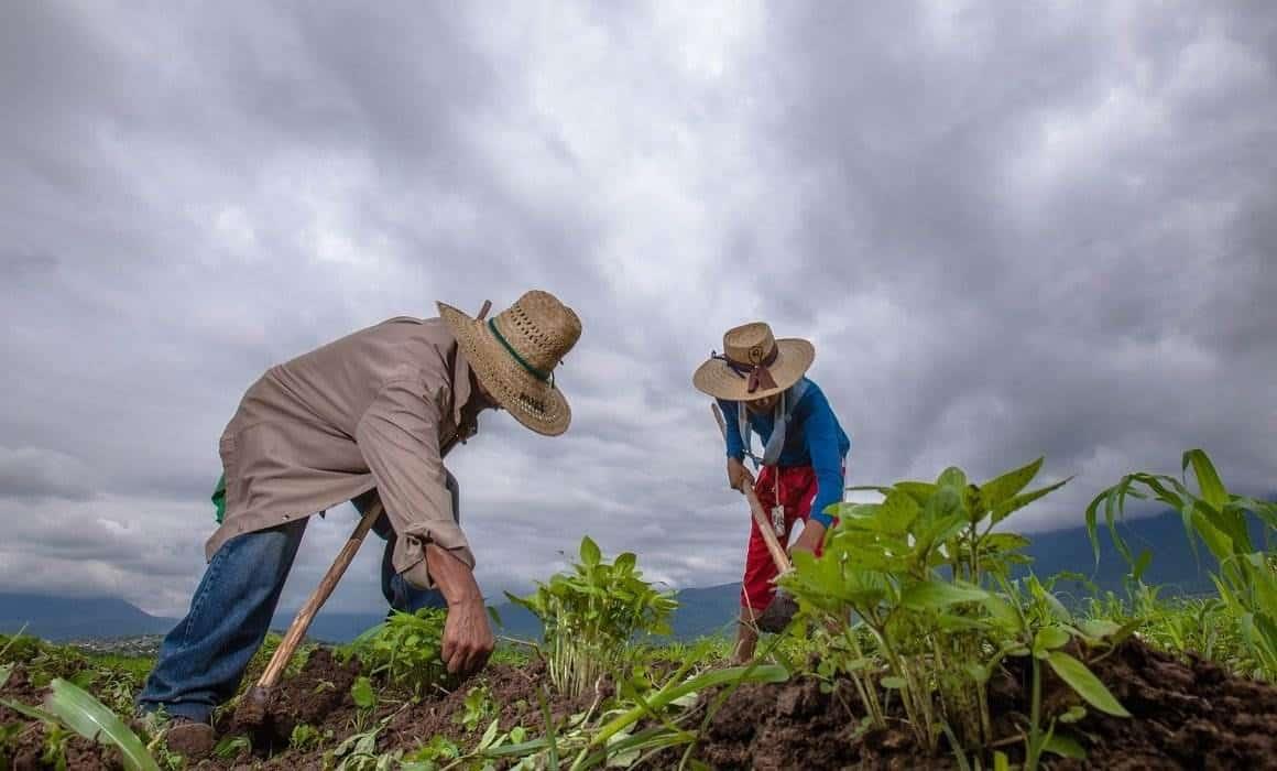 Impulsa AMLO el desarrollo del sureste de México