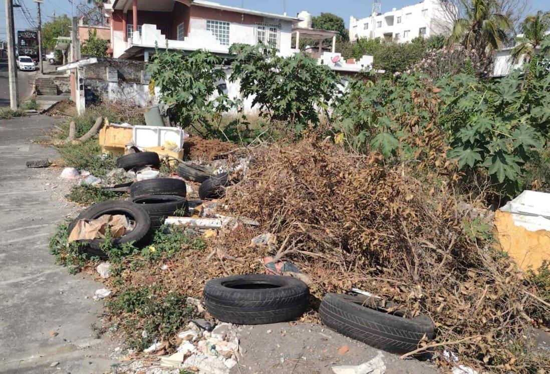 Basurero a cielo abierto en la Pocitos y Rivera, en Veracruz