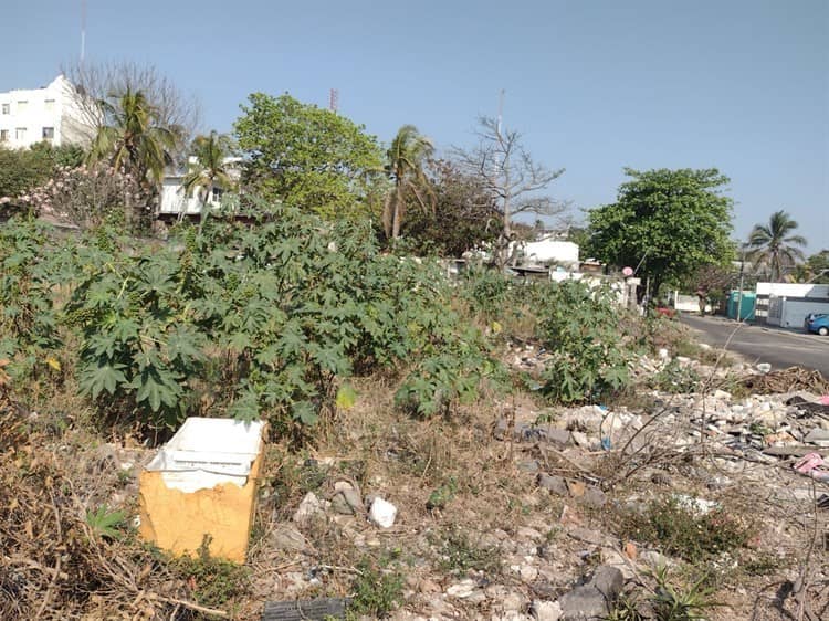 Basurero a cielo abierto en la Pocitos y Rivera, en Veracruz