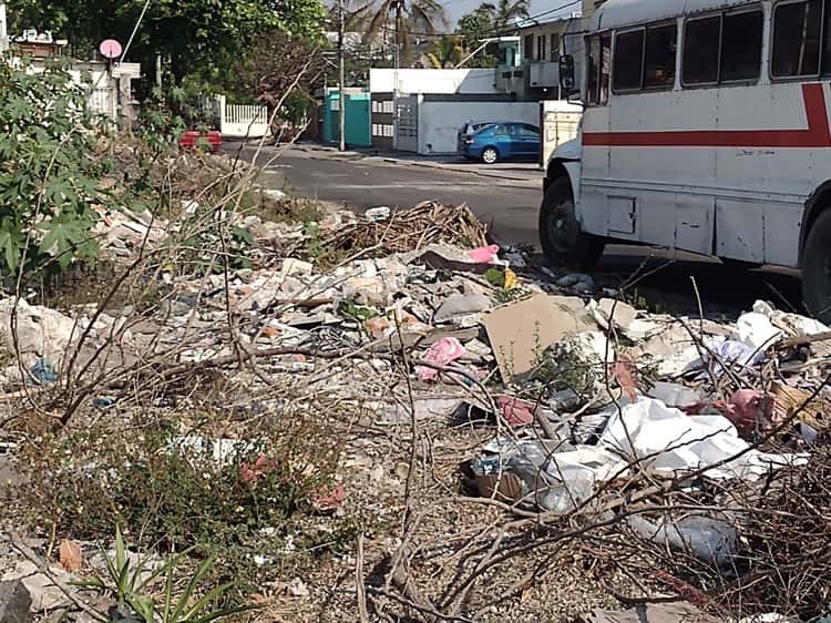 Basurero a cielo abierto en la Pocitos y Rivera, en Veracruz