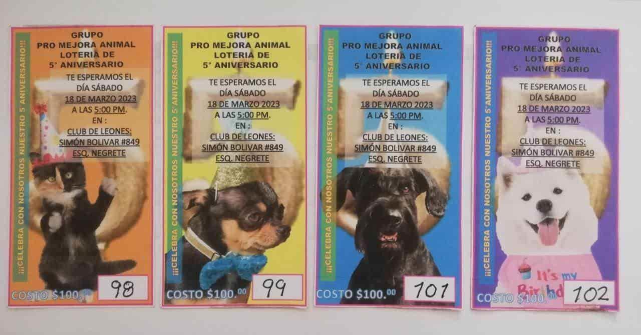 Grupo Promejora Animal cumple 5 años de rescatar perritos