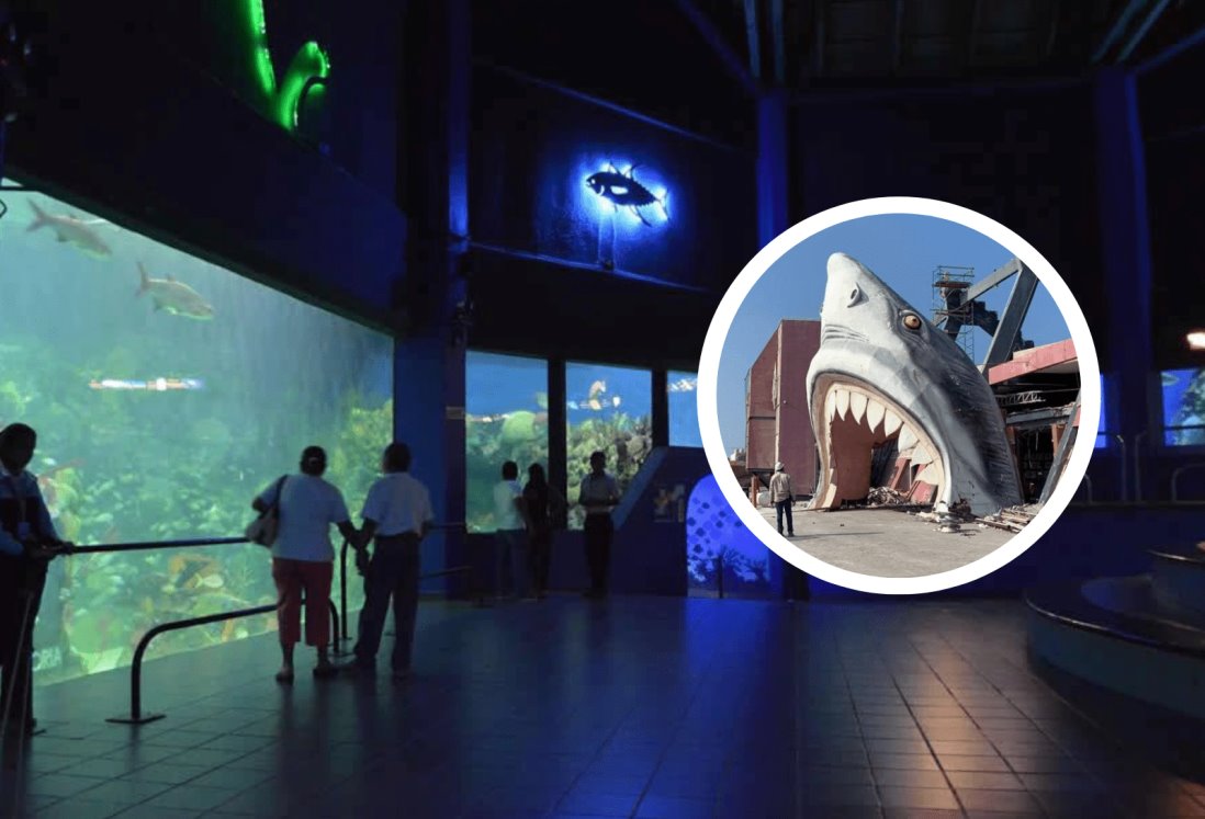 Alista PMA proyecto de remodelación del Aquarium de Veracruz; integró cabezas de tiburón del “Pirata” Fuente