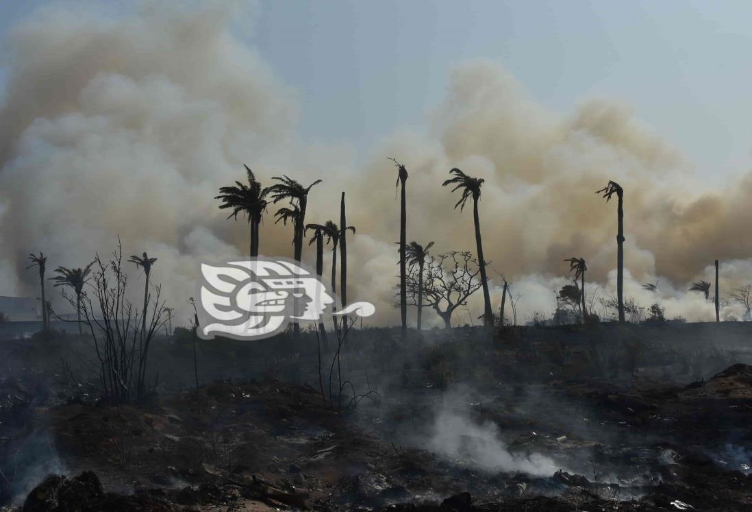 Fauna de Las Matas, principal víctima de incendios de pastizales