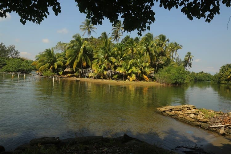 Las Barrillas, paradisiaco lugar a 10 kilómetros de Coatzacoalcos (+Video)