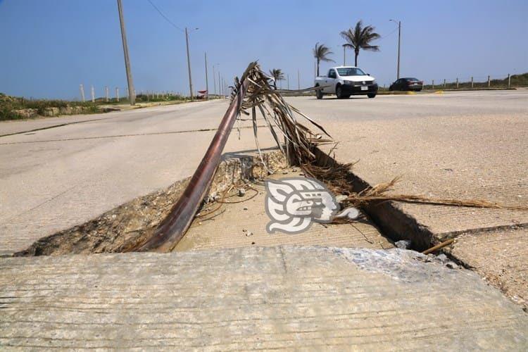 Con ramas cubren fracturas en tramo del Malecón de Coatzacoalcos (+Video)