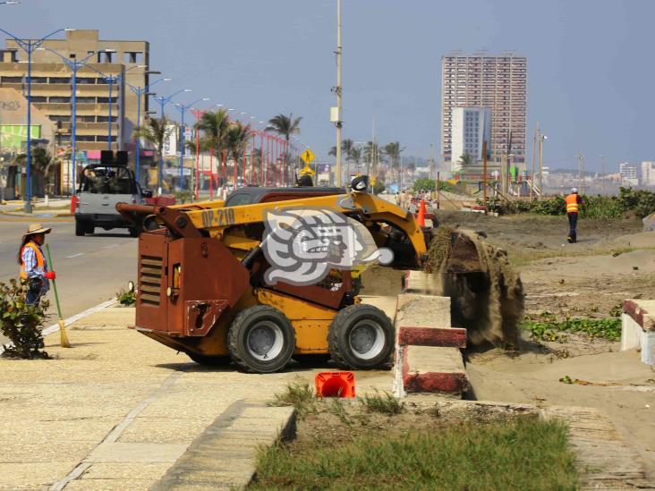 ¡Playa inclusiva! habilitan accesos para personas con discapacidad