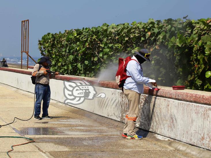 ¡Qué diferencia! intensiva limpieza en el Malecón en Coatzacoalcos (+Video)