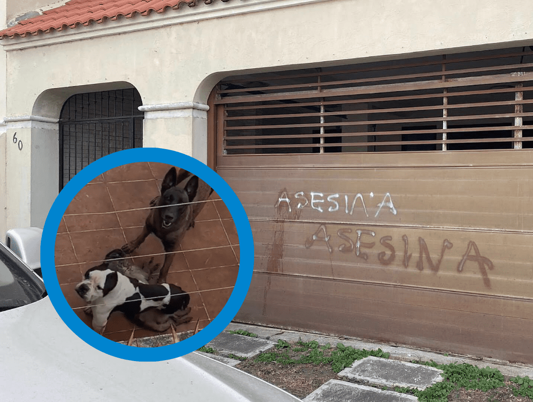 ¡Denunciará a vecinos! Dueña de presuntos perros maltratados en la Riviera