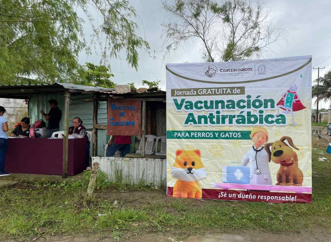 Realizan “Brigada de Vacunación Antirrábica” en Coatzacoalcos