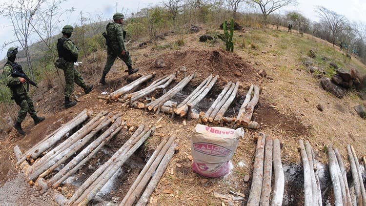 Veracruz, un cementerio gigante; reporta Comisión Nacional de Búsqueda más de 600 fosas clandestinas