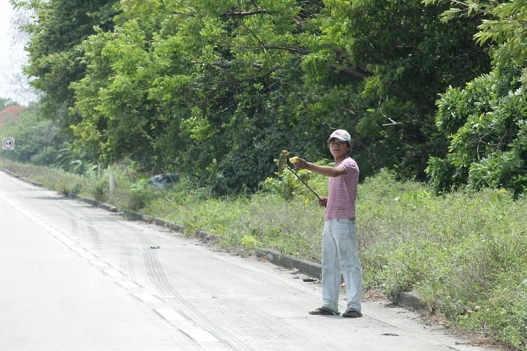 Continúa venta de aves exóticas en carreteras del sur de Veracruz