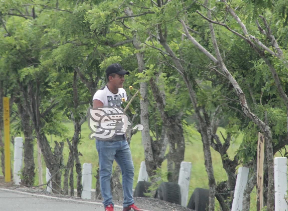 Continúa venta de aves exóticas en carreteras del sur de Veracruz