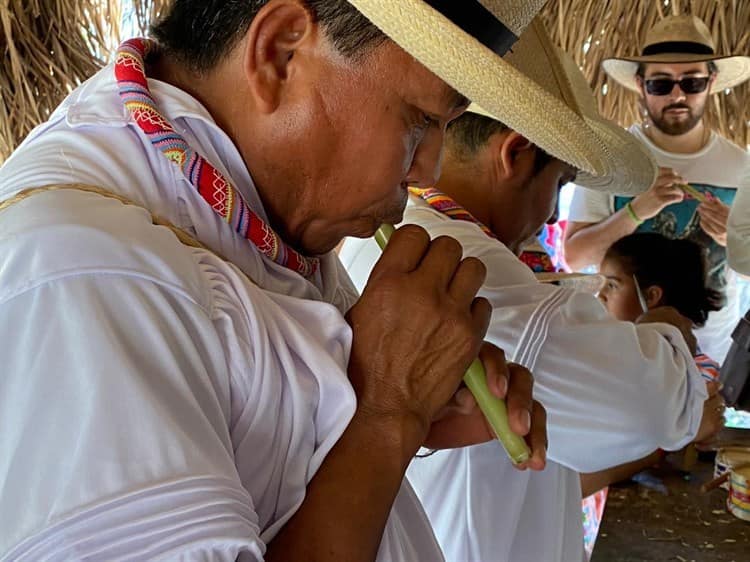 ¿Lo sabías? Así hacen sus flautas los voladores de Papantla