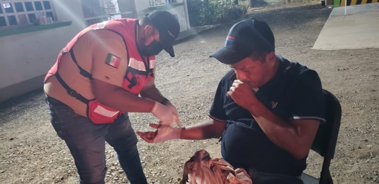 Borregos provocan accidentes en la carretera estatal de Cosamaloapan