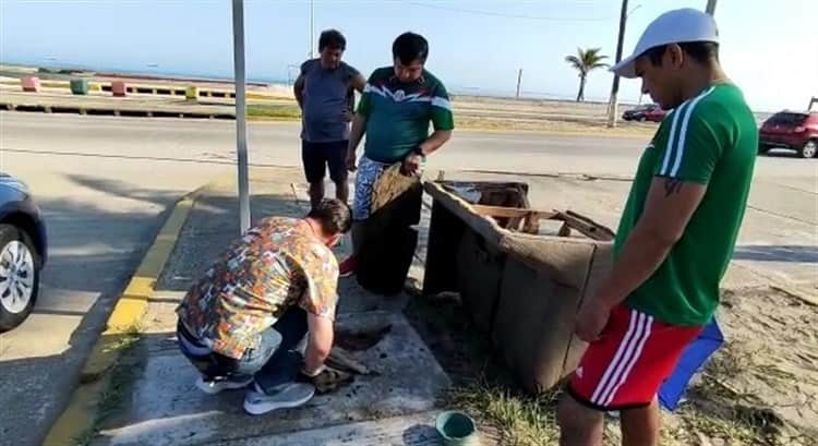 ¡Ellos no saben cruzar!.. Atropellan a lomito en Malecón Costero (+Video)