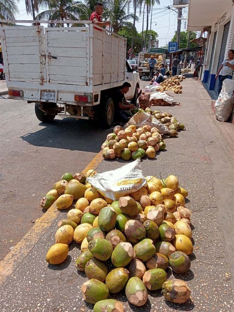 ¡Llegaron los cocos!; buscan vender más de 2 mil piezas