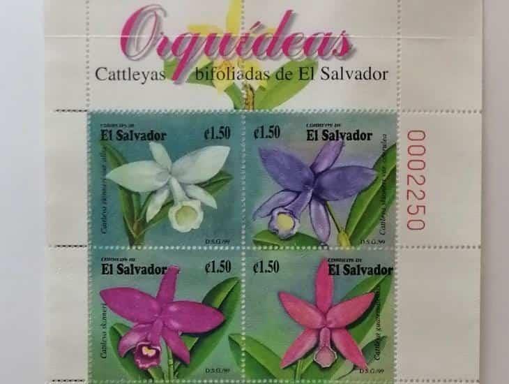 Casa Museo Salvador Díaz Mirón exhibe exposición filatélica Orquídeas