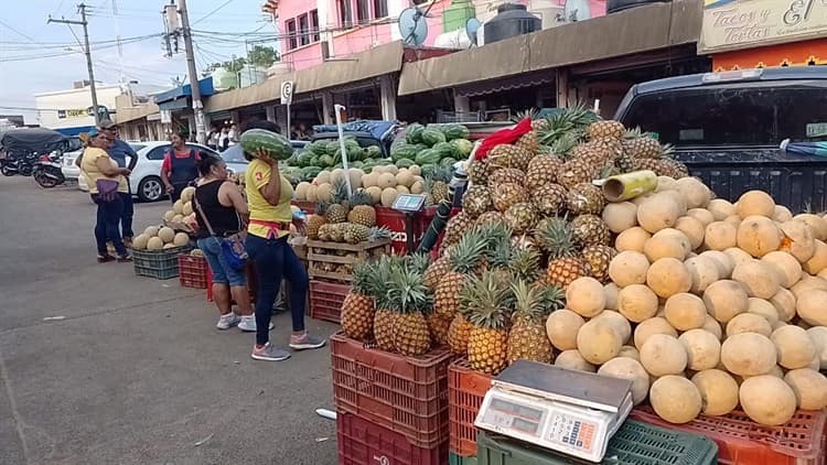 Sandia y melón veracruzano en desventaja por precio y calidad (+Video)