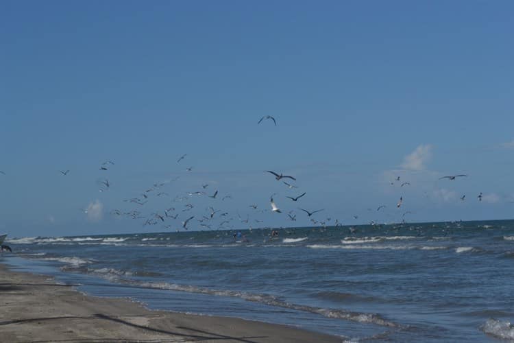 En playa de Mata de Uva, no basta con saber nadar, alerta salvavidas