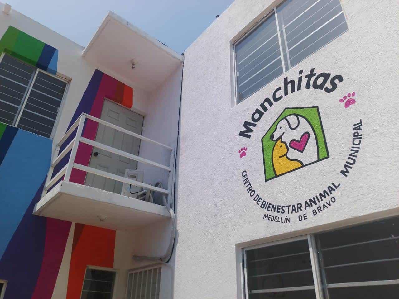 Cada 3 meses se hacen campañas de esterilización gratuitas en Medellín