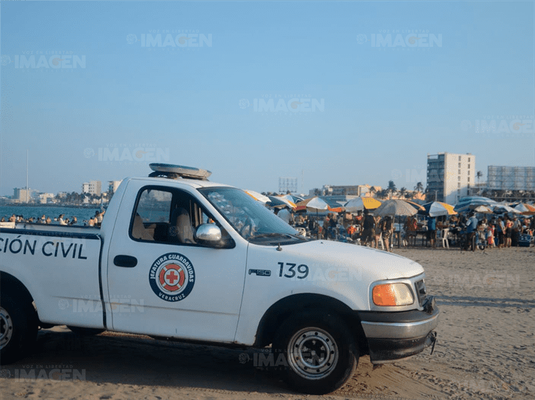 Localizan tortuga verde muerta en playas de Veracruz; la hirieron en su caparazón