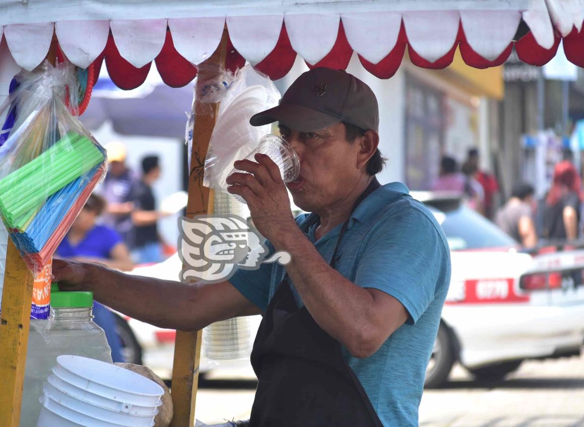 ¡Qué calor!; personas y animales buscan sobrevivir a altas temperaturas