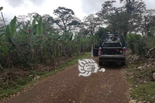 Hallan a sujeto pendiendo de un árbol en Amatlán
