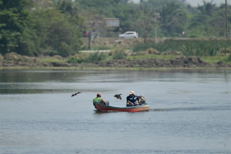 Regresa la fauna a Laguna Lagartos, tras limpieza en la zona