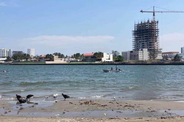 Esperan incremento del 50 % en recorridos en lancha por la Venecia veracruzana