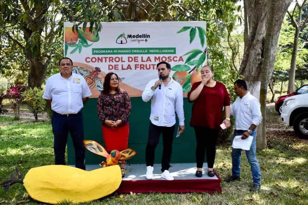 Reactivarán en Medellín la producción de mango